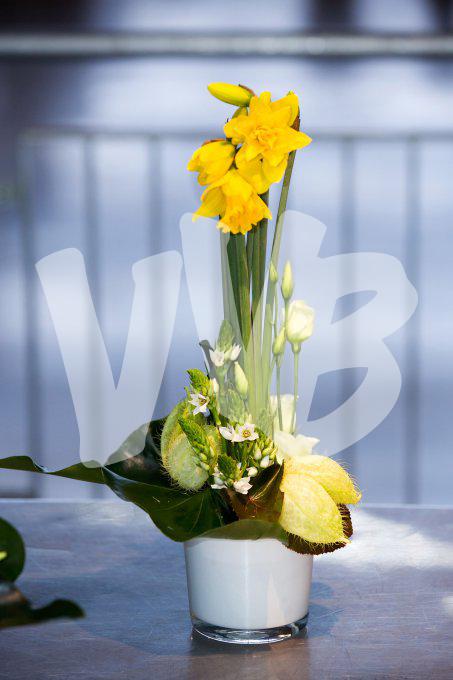 bloemen en planten vvbvanbree     1132